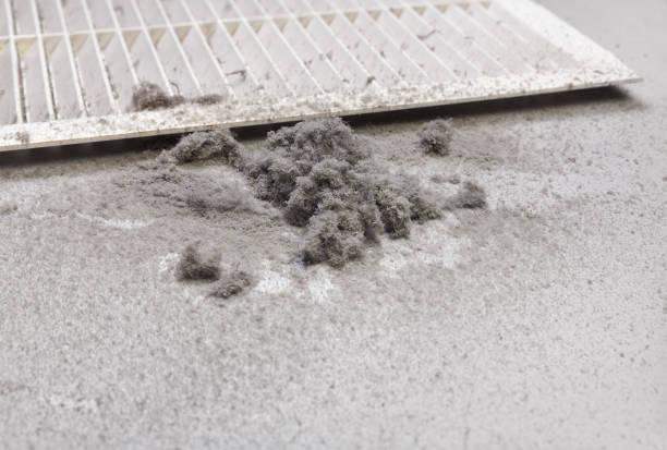 Best Duct Cleaning for Homes  in Waialua, HI