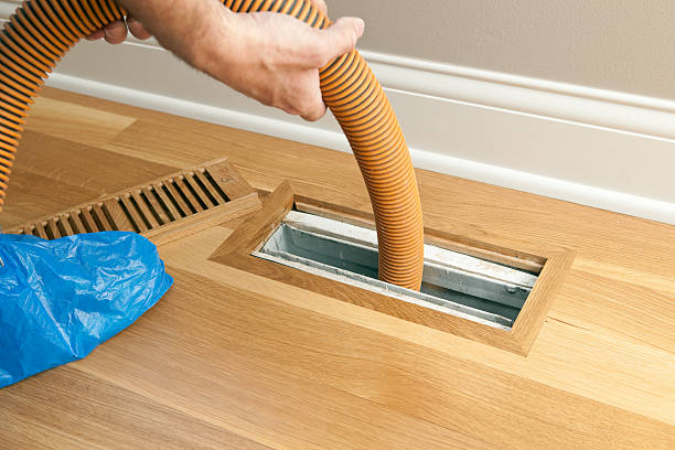 Best Air Vent Cleaning Services  in Waialua, HI