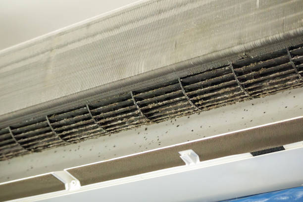 Best HVAC Duct Inspection Services  in Waialua, HI