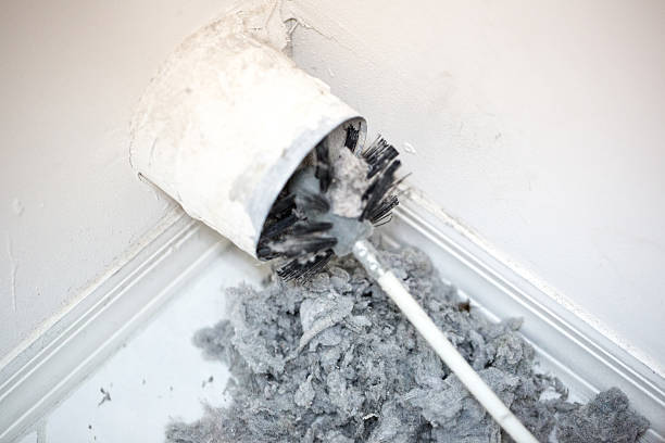 Best HVAC System Cleaning  in Waialua, HI